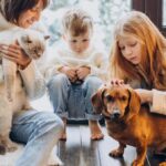 Merawat Hewan Peliharaan dengan Baik: Panduan Lengkap Menjaga Kesehatan, Kebersihan, dan Kasih Sayang untuk Hewan yang Bahagia