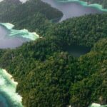 Panduan Lengkap Mengenal Fungsi Bagian Sumber Daya Rumah, Bagian Sumber Daya Kantor, dan Bagian Sumber Daya Perusahaan untuk Efisiensi, Kinerja, serta Keberlanjutan