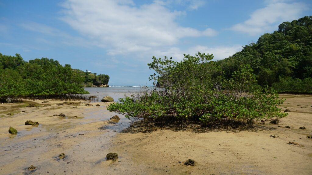 Ancaman Abrasi Pesisir terhadap Lingkungan, Ekonomi, dan Pemukiman Masyarakat serta Strategi Mitigasi untuk Menjaga Ketahanan Wilayah Pesisir Indonesia